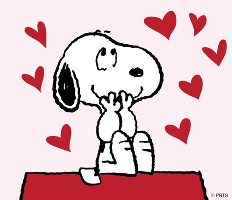 <3 Snoopy Goodnight Snoopy, Snoopy Valentine's Day, Snoopy Valentine, Happy February, Peanuts Comic Strip, Snoopy Images, Snoopy Quotes, Snoopy Love, So Me