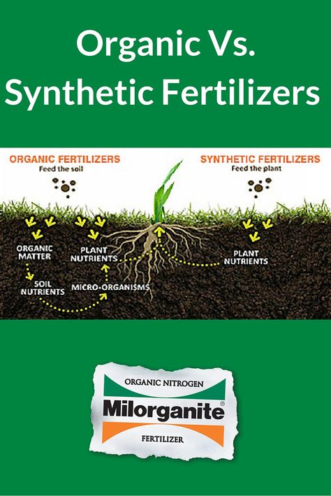 How To Fertilize Garden, Natural Fertilizer For Garden, Natural Fertilizer For Vegetable Garden, When To Fertilize Lawn, Shade Tolerant Grass, Milorganite Fertilizer, Iron Supplements, Npk Fertilizer, Organic Fertilizers