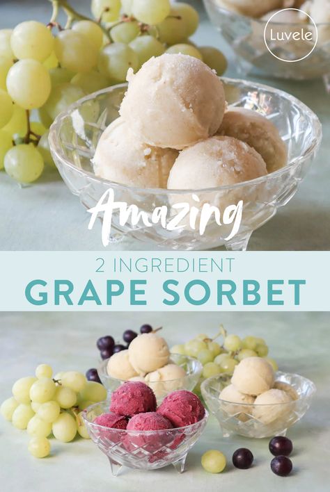 Grape Sorbet - Luvele US Luvele Recipes, Banana Sorbet, Grape Sorbet, Grape Ice Cream, Blender Ice Cream, Yogurt Makers, Food Dehydrators, Frozen Grapes, Frozen Fruit