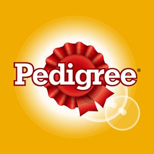 Pedigree Dog Food, Pedigree Dog, Advertising Awards, Logo Food, Croquettes, Png Vector, Don't Judge, Nutrition Recipes, Dog Food