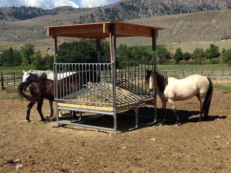 H-8 Hay Saver Feeder by Klene Pipe Horse Hay Feeders, Livestock Feeders, Round Bale Feeder, Horse Shelters, Hay Feeder For Horses, Cattle Feeder, Horse Farm Ideas, Horse Hay, Paddock Paradise