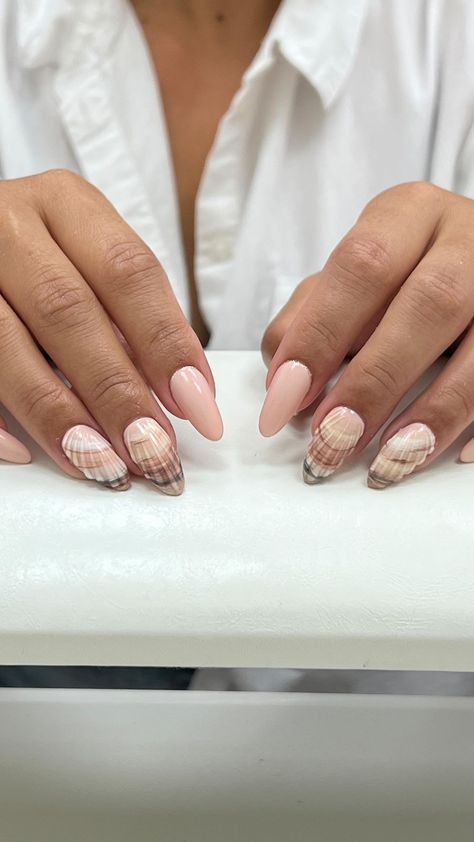 Seashell Inspired Nails, Shell Nails Seashells, 3d Seashell Nails, Seashell Nails Design, Sea Shell Nail Art, Sea Shell Nails, Seashell Nail Art, Shell Nail Art, Nail Overlay