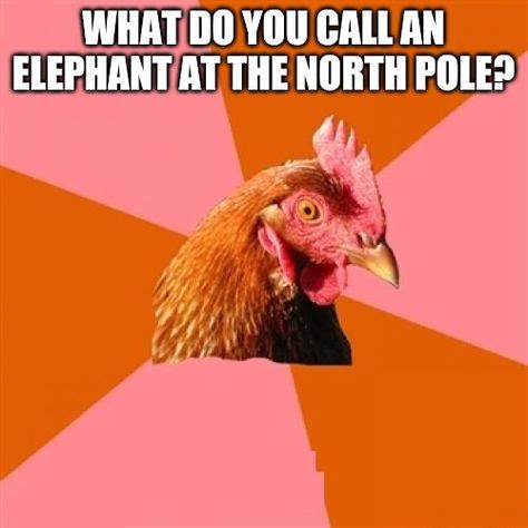 What do you call a chicken at the North Pole?| Get Riddle Answer Chicken Jokes, Anti Jokes, Funny Guy, Dark Jokes, Corny Jokes, Pentatonix, Most Popular Memes, It's Funny, Bad Jokes