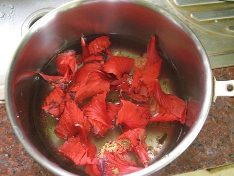 Roselle Plant, Hibiscus Flower Tea, Growing Hibiscus, Dried Flower Petals, Herbal Tea Garden, Kitchen Witch Recipes, Edible Flowers Recipes, Dried Hibiscus Flowers, Make Tea