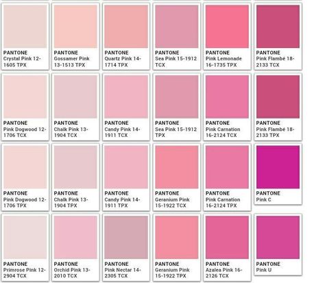 Raspberry Colour Palette, Coquette Color Palette, Pink Color Chart, Wedding Colour Theme, Pink Colour Palette, Pantone Color Chart, Pantone Palette, Tout Rose, Pantone Colour Palettes