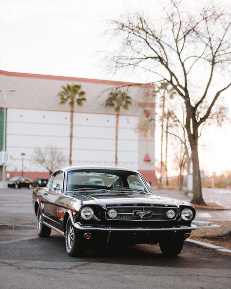 Mid-1960s Ford Mustang Fastback [OC] [2850x3563] - http://amzn.to/1bxGVMr | Dream cars, Mustang fastback, Ford mustang fastback Old Ford Mustang, Old Mustang, Black Mustang, Bmw Classic Cars, Ford Mustang Fastback, Pimped Out Cars, Real Car, Moto Cross, Mustang Fastback