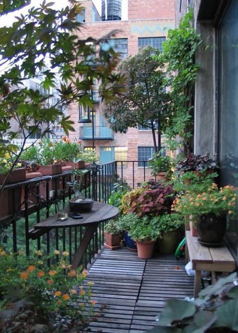 50 Amazing Balcony Garden Designs & Ideas - Farm.Food.Family Small Balcony With Plants, Window Garden Outdoor, Balcony Flowers Ideas, Little Balcony Ideas, Plant Decor Aesthetic, Balcony Plants Ideas, French Balcony Ideas, Balcony With Plants, Balcony Herbs