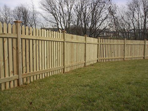 Tall Picket Fence Ideas, Picket Privacy Fence, Tall Picket Fence, Deer Proof Garden, Coastal Creations, Picket Fencing, Deer Proof, Wood Fence Design, Screen Plants