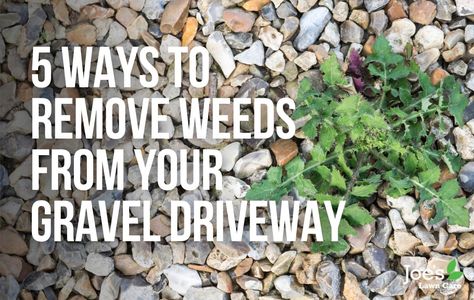 5 Ways To Remove Weeds From Your Gravel Driveway - Joe's Lawn Care Edging Gravel Driveway, How To Get Rid Of Weeds In Rocks, Gravel Driveway Edging, Driveway Culvert, Gravel Drive, Lawn Problems, Driveway Edging, Landscaping Decor, Killing Weeds