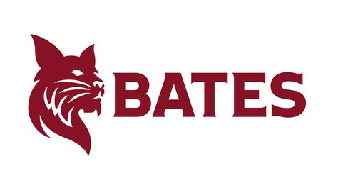 Bates College, College Lacrosse, Lewiston Maine, Sales Prospecting, Liberal Arts College, Marketing Analysis, Financial Modeling, Work Remotely, College Logo