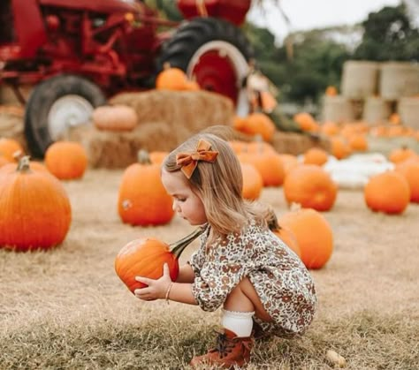 Pumpkin Patch Sibling Pictures, Toddler Fall Photos, Pumpkin Patch Toddler Photoshoot, Pumpkin Patch Mini Session, Pumpkin Patch Kids Photoshoot, Pumpkin Photography Ideas, Pumpkin Patch Photoshoot Kids, Fall Photoshoot Toddler, Toddler Pumpkin Patch Photos