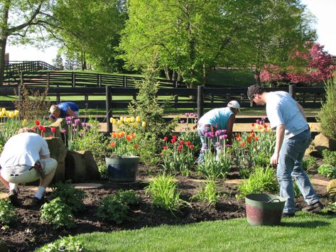 Spring Yard Clean Up, Spring Cleaning Yard, Spring Clean Up, Start Cleaning, Tree Pruning, Ornamental Grasses, Blooming Flowers, Get Outside, Trees And Shrubs