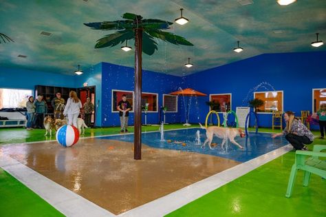 Indoor Dog Park, Indoor Water Park, Splash Park, Pet Resort, Doors Makeover, Indoor Waterpark, Dog Garden, Splash Pad, Indoor Dog