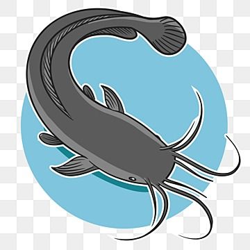 Ikan Lele Logo, Catfish Clipart, Lele Ikan, Ikan Salmon, Ikan Lele, Fish Sketch, Channel Catfish, Catfish Fishing, Fish Vector