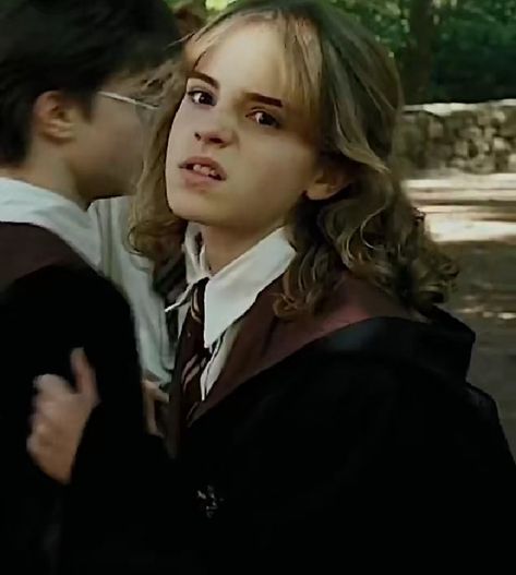 Hermione Granger Hermione Meme, Hermione Granger, Hermione, Harry Potter, Couple Photos, Memes, Quick Saves