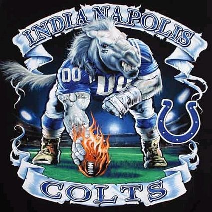 Indianapolis Colts Indianapolis Colts Logo, Nfl Colts, Indianapolis Colts Football, Colts Football, Seahawks Football, College Football Teams, Nfl Football Teams, Football Baby, Football Memes