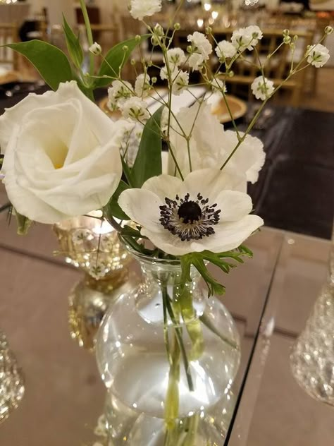 Anemone Bud Vase, Black And White Anniversary Party, White Anniversary Party, Panda Anemone, Anemone Centerpiece, Black Anemone, Guitar Wedding, Wolf Christmas, Gold White Wedding