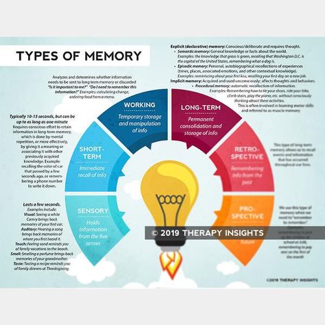 Different Types Of Memory, Eidetic Memory, Long Term Memory, Memory Strategies, Episodic Memory, Types Of Memory, Health Literacy, Human Memory, Processing Speed