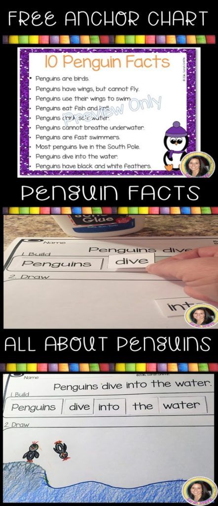 penguin-facts-for-kids Penguins Kindergarten, Science Kindergarten, Penguin Facts, All About Penguins, Penguin Activities, Non Fiction Writing, First Grade Writing, Kindergarten Science, Free Teaching Resources