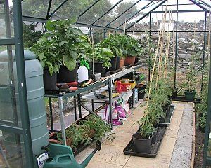 Greenhouse For Beginners, Greenhouse Tips, Greenhouse Shelves, Heating A Greenhouse, Greenhouse Shed, Greenhouse Ideas, Green Houses, Greenhouse Growing, Greenhouse Plans