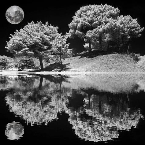 night time photography Ir Photography, Landscape Photography Art, Best Bookmarks, Infrared Photography, Red Photography, Black And White Landscape, Looks Black, Wild Nature, Nature Images