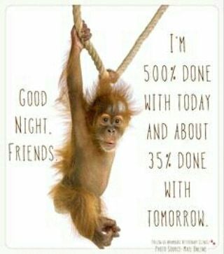 Goodnight everyone!!! :) Exhausted Humor, Night Monkey, Tuesday Thoughts, Funny Good Night Quotes, Tired Funny, Wednesday Humor, Weekend Is Coming, Good Night Funny, Tuesday Humor