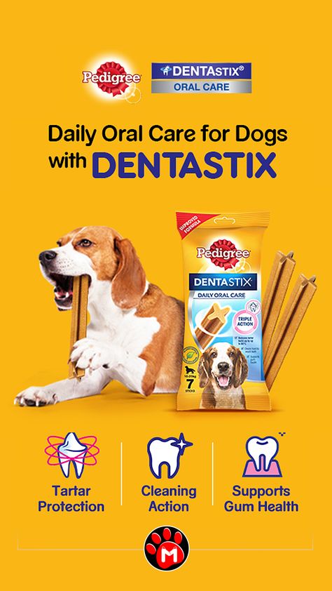 Pet Store Design, Pet Advertising, Dog Dental Treats, Pet Dental Care, Pet Branding, National Dog Day, Dog And Puppy, Dental Treats, Logo Design Tutorial