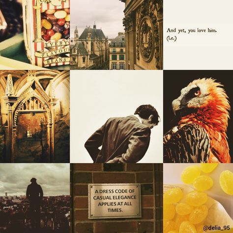 Dumbledore Family, Albus Dumbledore Aesthetic, Dumbledore Aesthetic, Gryffindor Pride, Hp Aesthetic, Gryffindor Aesthetic, Potter Aesthetic, Fantastic Beast, Fantastic Beasts And Where