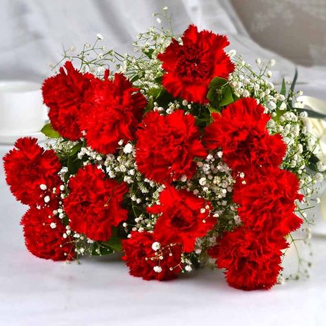 Red Carnation Wedding Bouquet, Red Carnations Bouquet, Red Carnation Aesthetic, Orchid Varmala, Red Carnation Bouquet, Carnation Flower Arrangements, White Carnation Bouquet, Carnation Wedding Bouquet, Carnation Flower Bouquet