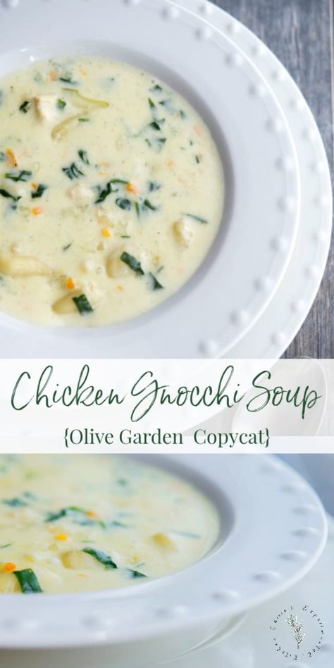 Olive Garden's Chicken Gnocchi Soup made with boneless cooked chicken, vegetables and gnocchi in a creamy chicken broth. #soup #chicken #gnocchi #pasta #copycatrecipe Tortellini Pesto, Olive Garden Chicken Gnocchi, Dinner Videos, Gnocchi Recipes Soup, Chicken Gnocchi Soup Olive Garden, Kraft Dinner, Recipes Zucchini, Broth Soup, Chicken Gnocchi