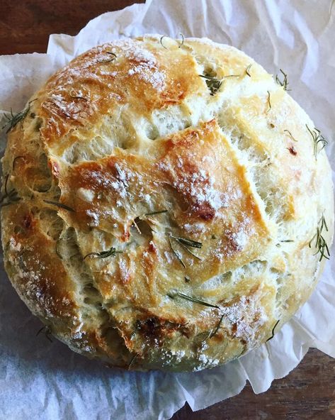 Weekend baking project: The easiest no-knead rosemary and roasted garlic artisan bread. Sharing this reader favourite once again to encourage you all to light up your feeds with your best bakes to mark World Bread Day and World Food Day. Take a moment to recognize the universality of both bread and food insecurity, and to appreciate grain producers and the crucial role they play in helping us to feed our families. Hope you give this one a try and have a great weekend! 🌾🍂✨ #breadlove Recipe is Roasted Garlic Artisan Bread, Garlic Artisan Bread, Artisan Bread Recipes, Loaf Of Bread, No Knead, Think Food, Fresh Bread, Bread Recipes Homemade, Artisan Bread