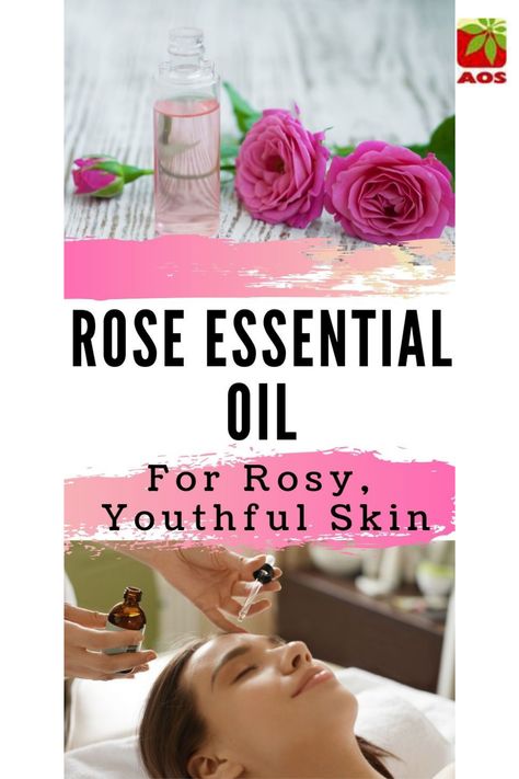 Rose Oil has toning properties that tighten the skin. Diy Skin Care Recipes, Essential Oils For Skin, Bulgarian Rose, Geranium Essential Oil, Essential Oil Diffuser Blends, Rose Essential Oil, Oil Diffuser Blends, Beauty Regimen, Rose Oil