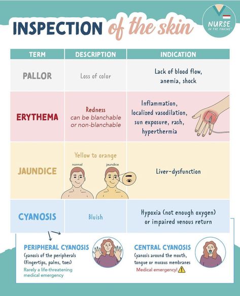 Skin Integrity Nursing, Sterile Technique Nursing, Cna Notes, Foundations Of Nursing, Nursing School Studying Cheat Sheets, Nursing School Life, Nurse Tips, Medical Assistant Student, Paramedic School