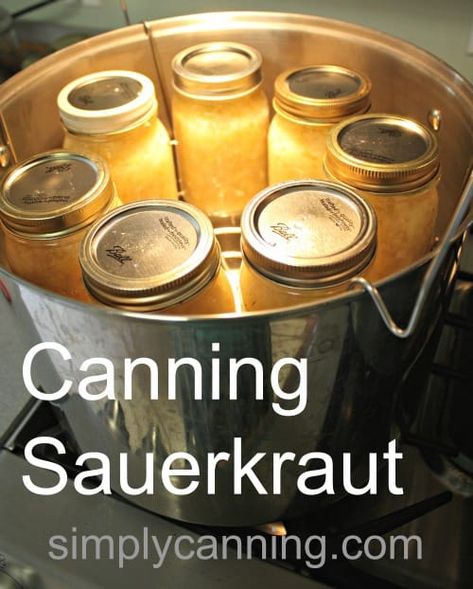 Canning Sauerkraut, Fermented Sauerkraut, Sauerkraut Recipe, Homemade Sauerkraut, Home Canning Recipes, Canning Vegetables, Canning Food Preservation, Canned Food Storage, Canning Tips