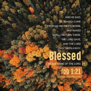 Naked I came from my mother's womb, and naked shall I return. The Lord gave, and the Lord has taken away; blessed be the name of the Lord..(Job 1:21, ESV) Job Bible Study, Job 1 21, Job Bible, Matthew Mark Luke John, Ecclesiastes 12, Romans 1, Book Of Job, Job 1, Teacher Assistant