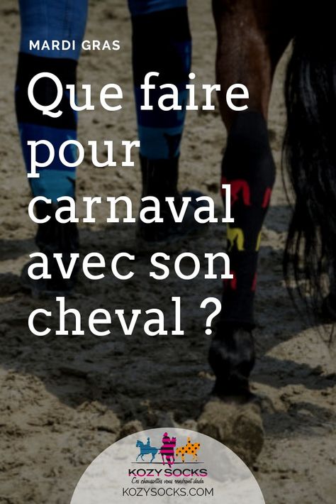 Comment se déguiser pour carnaval avec son cheval ? Quelles activités équestres faire pour le mardi gras ? Theme Carnaval, Mardi Gras, Lockscreen Screenshot