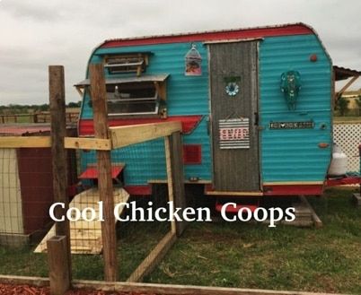 Cool Chicken Coops - Country Life Dreams Rv Catio, Western Saloon, Old Campers, Life Dreams, Chicken Coops, Hobby Farms, Raising Chickens, Chicken Coop, Country Life