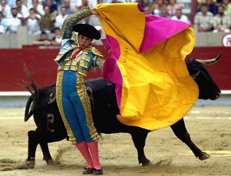 Evasion. Spanish Crafts, Matador Costume, Rioja Wine, Loud People, Dangerous Sports, Spanish Culture, Bull Run, A Bull, Popular Shows