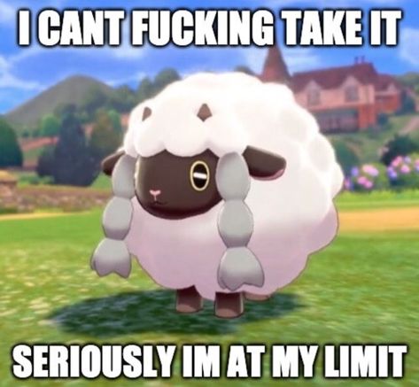 At My Limit, I Dont Know Anymore, New Pokemon, Like And Subscribe, Had Enough, Cute Memes, Pocket Monsters, Fb Memes, A Train