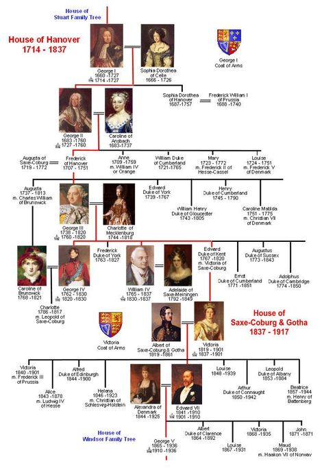 Victoria Family Tree, Queen Victoria Family Tree, Family Tree House, British Royal Family Tree, House Of Stuart, Royal Lineage, Queen Victoria Family, Royal Family Trees, Genealogy Chart