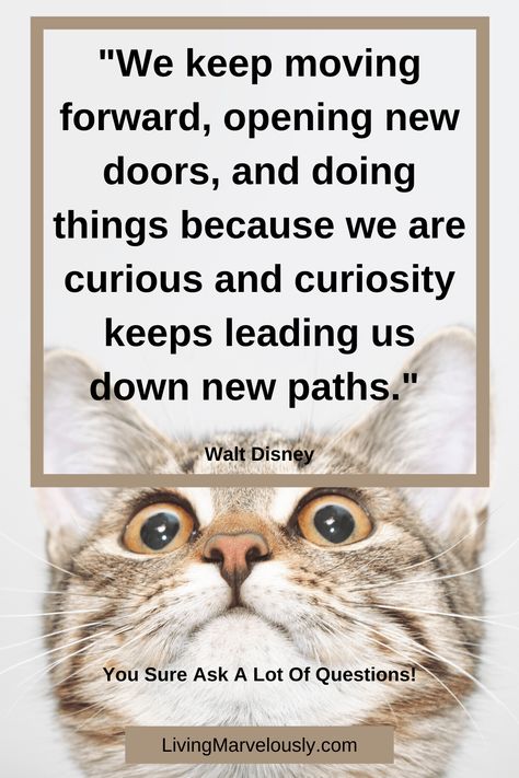 What is curiosity and why do we need more of it in our lives? Curiosity is the key to learning about and experiencing life. Discover the benefits. Plus quotes to keep the curiosity flowing. #curious #curiosity #livingmarvelously Positive Memes, Motivational Articles, Life Satisfaction, 21st Century Skills, Positive Lifestyle, Keep Moving Forward, Confidence Building, Quotes About Strength, Life Purpose