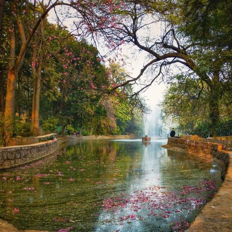 Lodi Gardens New Delhi, Lodi Garden, Delhi City, Nature Background Images, New Delhi India, Sea Star, Nature Backgrounds, Art Practice, Delhi India