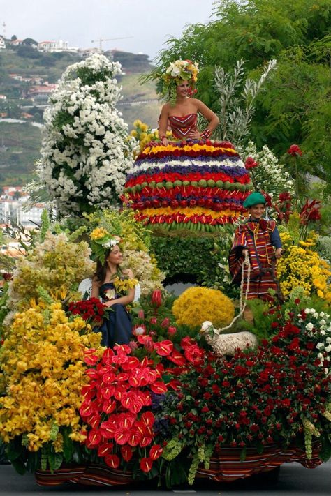 Decorated Windows, Madeira Funchal, Funchal Portugal, Portugal Photography, Colored Walls, Funchal Madeira, Festival Photo, Festivals Around The World, Flower Festival