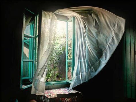 love the look of open windows and breeze blowing through sheer curtains! An Open Window, Blowin' In The Wind, Beautiful Windows, Foto Tips, Window View, Through The Window, Open Window, Sheer Curtains, Window Sill