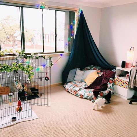 Our little bunny paradise 🥕 #bunny #love #rabbits #minilop #happy #forestfairytale Rabbit In Bedroom, Diy Bunny Cage, Indoor Rabbit House, Bunny Care Tips, Rabbit Room, Mini Lop Bunnies, Indoor Rabbit Cage, Rabbit Habitat, Pet Room