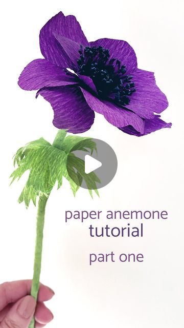 Giant Paper Flowers, Paper Flower Tutorial, Beautiful Paper, February 1, Handmade Flower, Flower Tutorial, Handmade Flowers, My Youtube Channel, Anemone