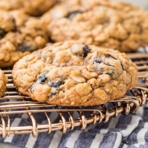 Recipe For Oatmeal, Lemon Blueberry Cookies, Sugar Spun Run, Cookie Recipes Oatmeal Raisin, Oatmeal Cranberry Cookies, Good Recipe, Oatmeal Cookies Chewy, Oatmeal Chocolate Chip, Oat Cookies