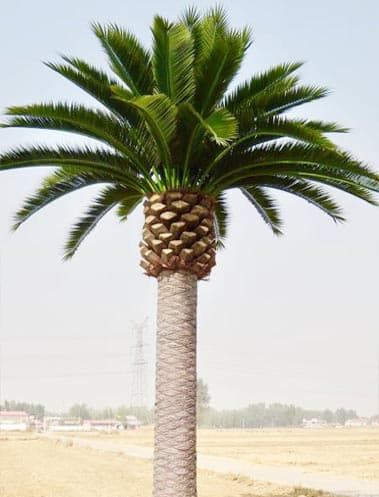 Artificial Date Palm Tree, Artificial Palms For Sale, Artificial Palm Plants Date Palm Tree, Palm Plants, Fake Palm Tree, Outdoor Date, Large Trees, Tree Artificial, Date Palm, Fake Life, Artificial Plants And Trees