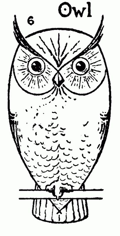 How to draw an Owl step by step - Simple Owl drawing 6 Simple Owl Drawing, Owl Drawing Simple, Drawing Ideas Step By Step, Draw An Owl, Peace Poles, Step By Step Sketches, Simple Owl, Owl Drawing, Drawing Kids