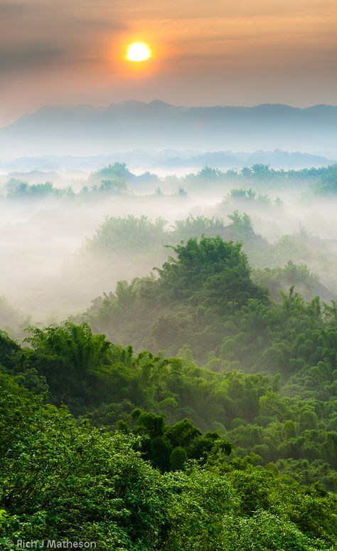 Taiwan Nature, Forest Sunrise, Tainan Taiwan, Kenting, Natural Forest, Sunrise Pictures, Forest Canopy, Taiwan Travel, Tainan